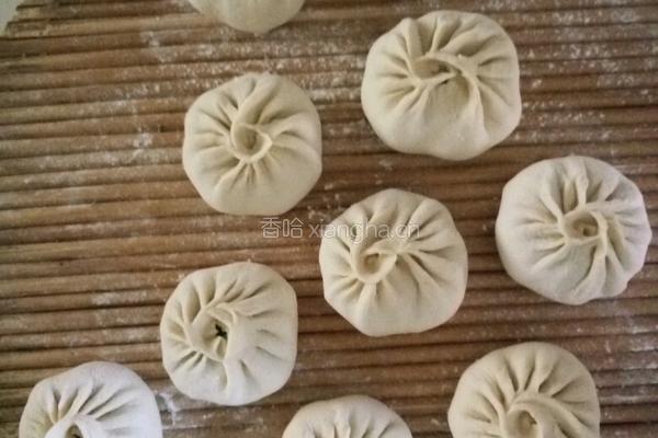 茴香肉包子的做法图解19