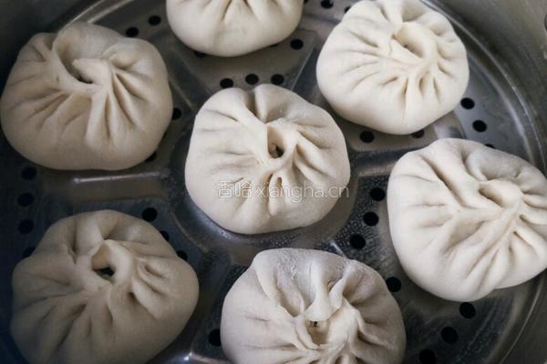 茴香肉包子的做法图解21