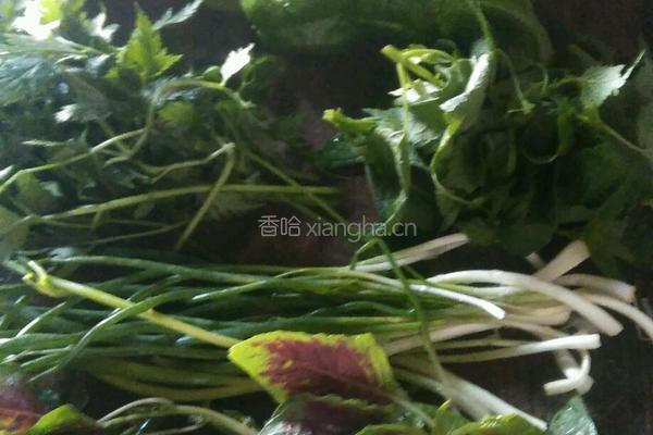 爆炒小河鱼的做法图解1