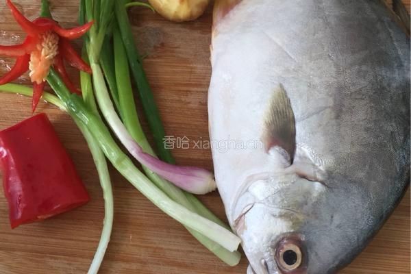 红烧金枪鱼的做法图解1
