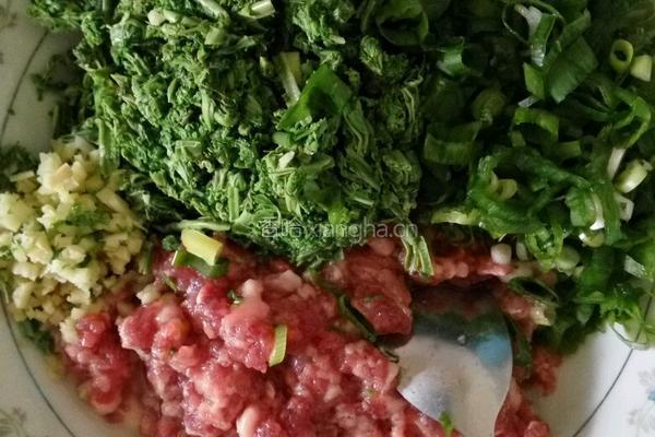 山黄瓜肉水饺的做法图解2