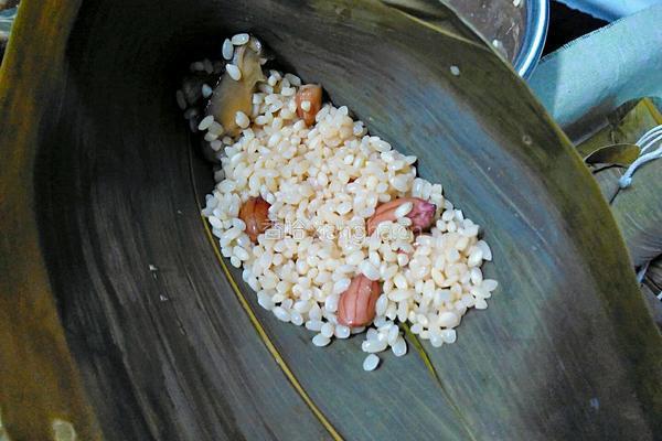 香菇花生肉粽(龙舟粽)的做法图解10