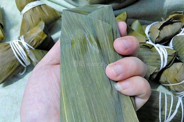 香菇花生肉粽(龙舟粽)的做法图解15