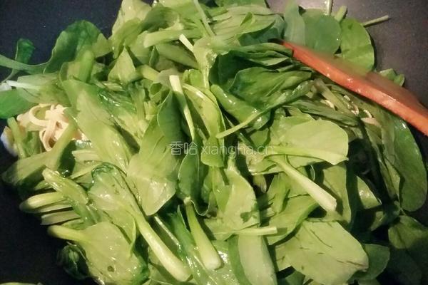 鸡毛菜炒百叶丝的做法图解8