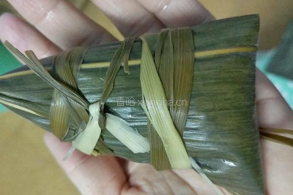 清香豆沙粽的做法图解16
