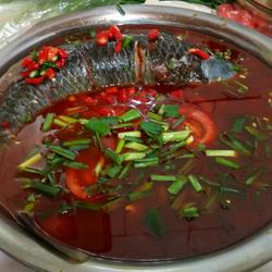 红酸汤野生酸汤魚的做法[图]