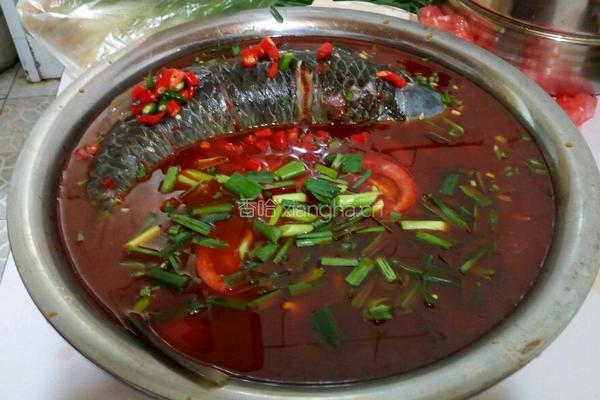 红酸汤野生酸汤魚