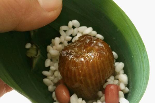 蜜枣粽子的做法图解5