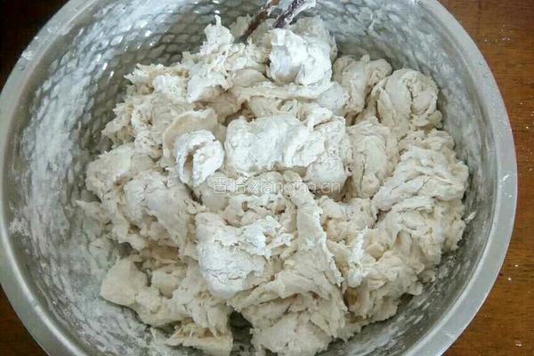煎饺的做法图解2