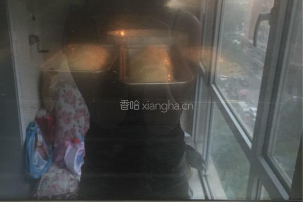 南瓜黑加仑小卷的做法图解13