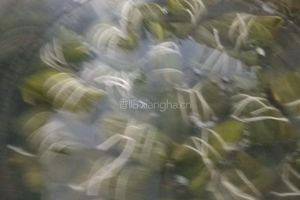 自己包粽子的做法图解15