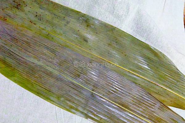 绿豆花生蜜枣粽(三角粽)的做法图解7