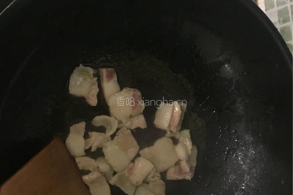 杏鲍菇的做法图解8