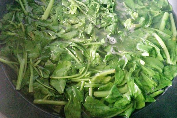 蒜蓉菠菜的做法图解4