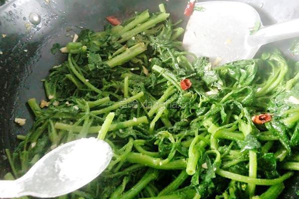 蒜蓉菠菜的做法图解9