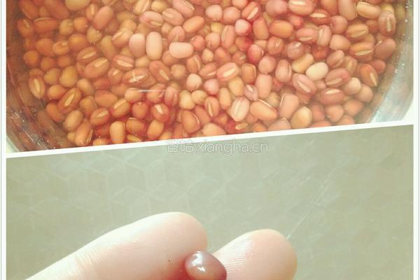 自制红豆沙的做法图解1