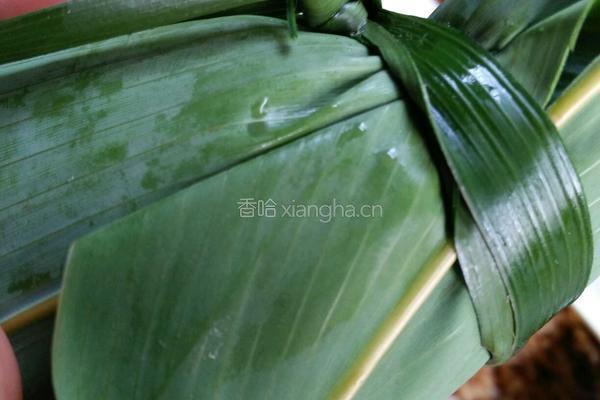 芋茎干粽子的做法图解6