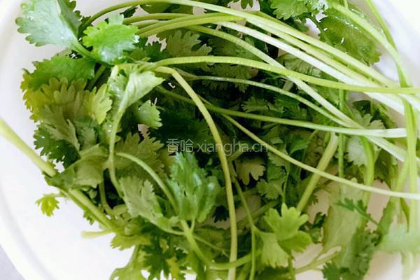 朝鲜族小菜辣酱明太鱼的做法图解3