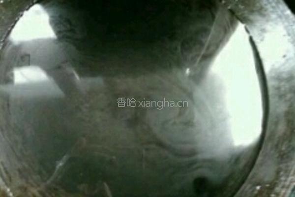 咸蛋黄粽子的做法图解3