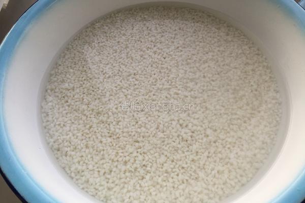 蜜枣红豆粽子的做法图解1