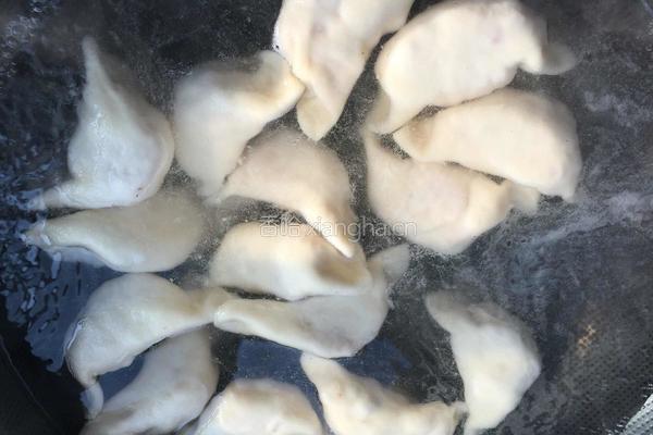 水饺的做法图解6