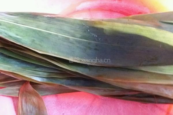 苏州粽子的做法图解2