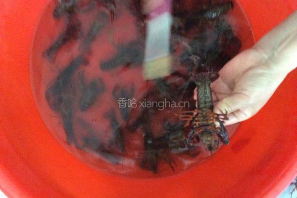 麻辣小龙虾的做法图解2