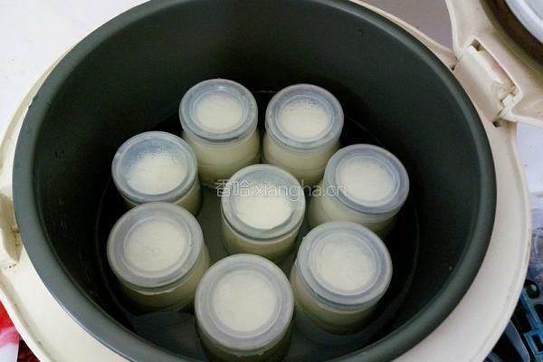电饭煲自制酸奶的做法图解8