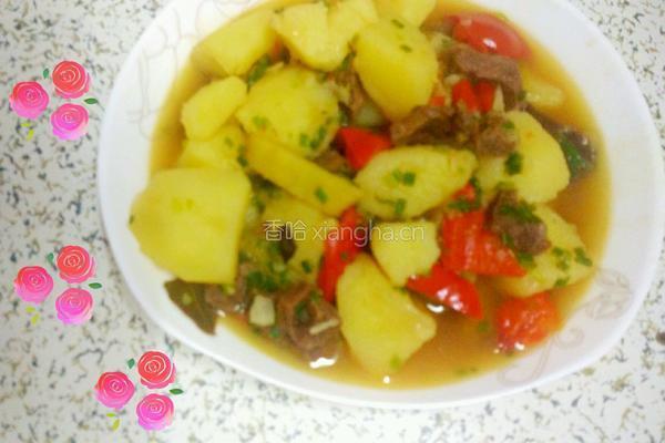 土豆炖牛肉的做法图解8
