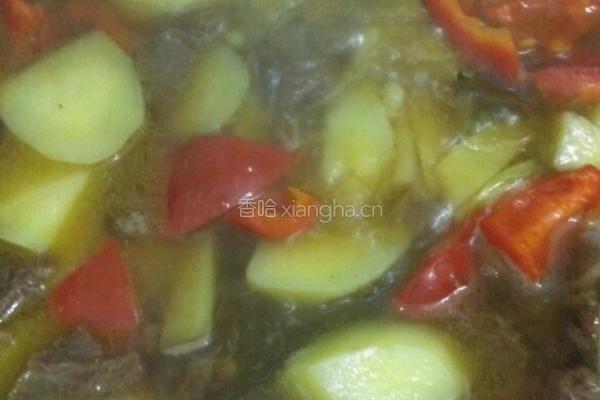 土豆炖牛肉的做法图解7