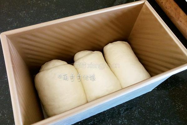 妃娟100％中种北海道醇奶土司的做法图解13
