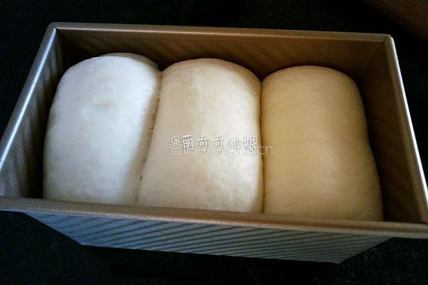 妃娟100％中种北海道醇奶土司的做法图解15
