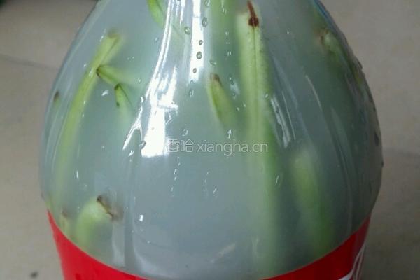 自制酸豆角的做法图解3