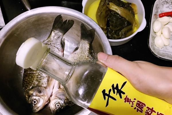 酸辣红烧鲫鱼的做法图解2