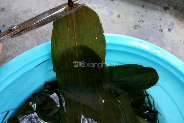 桂圆红枣葡萄干三角粽的做法图解2
