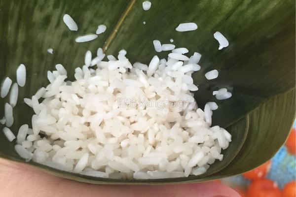 咸蛋肉粽的做法图解8
