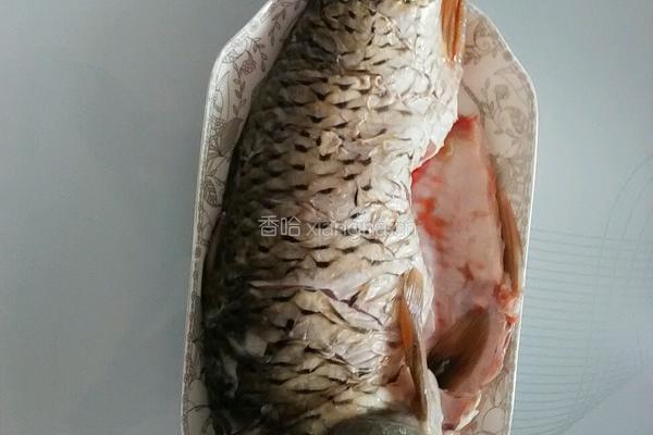 干烧鲤魚的做法图解2