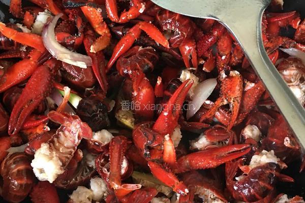 麻辣小龙虾的做法图解4