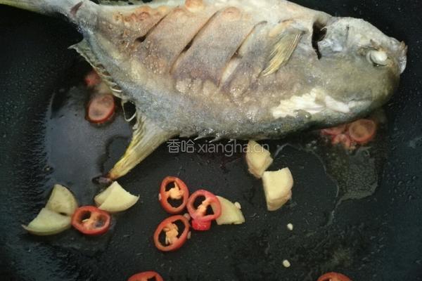 煎金仓鱼的做法图解6