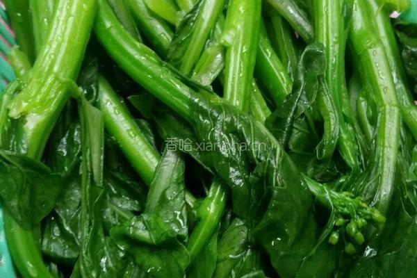 炒菜心的做法图解3