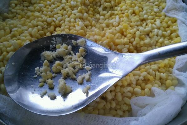 绿豆糕的做法图解4