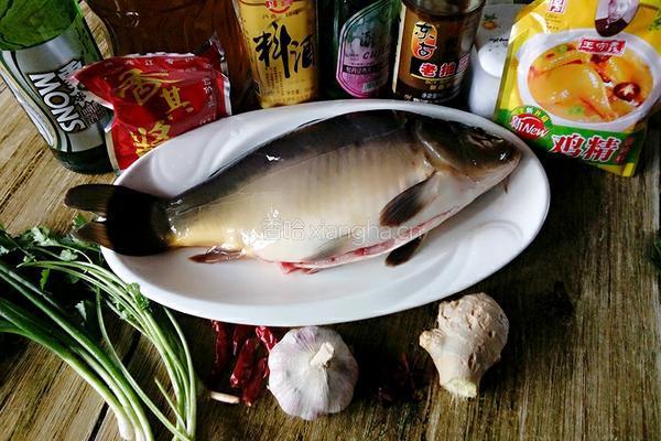 啤酒烧鲤鱼的做法图解1