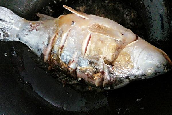 啤酒烧鲤鱼的做法图解5