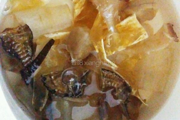 海马炖鱼胶的做法图解4