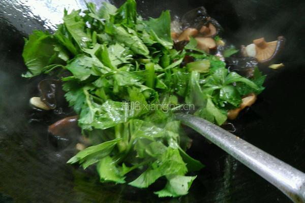 香菇黑木耳炒芹菜（降血压的菜)的做法图解5