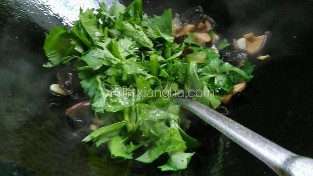 给芹菜拌匀给少量盐，一点点白糖。