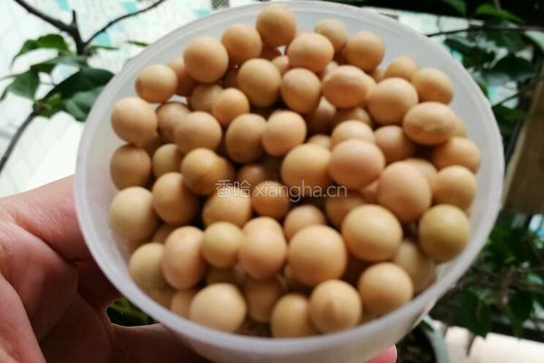 纯豆浆的做法图解1
