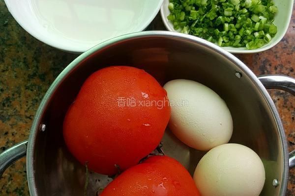 番茄炒鸡蛋的做法图解1