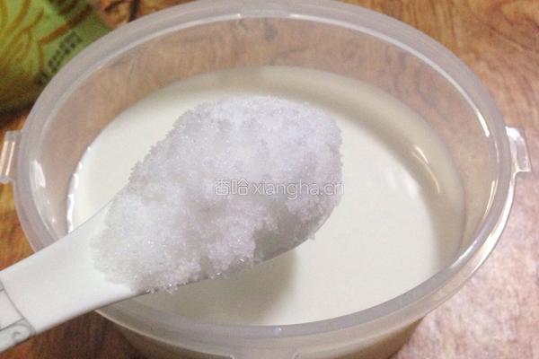 自制原味酸奶的做法图解4