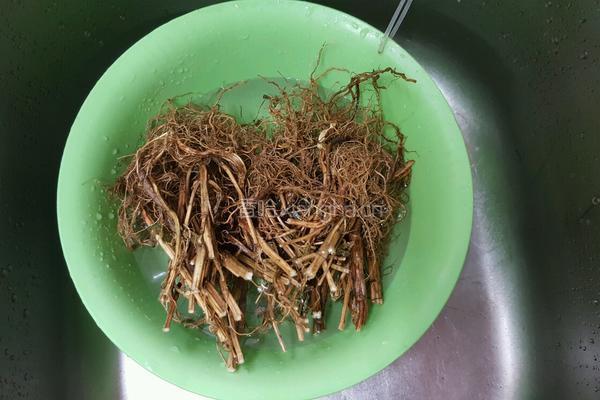 家常益母草汤的做法图解2